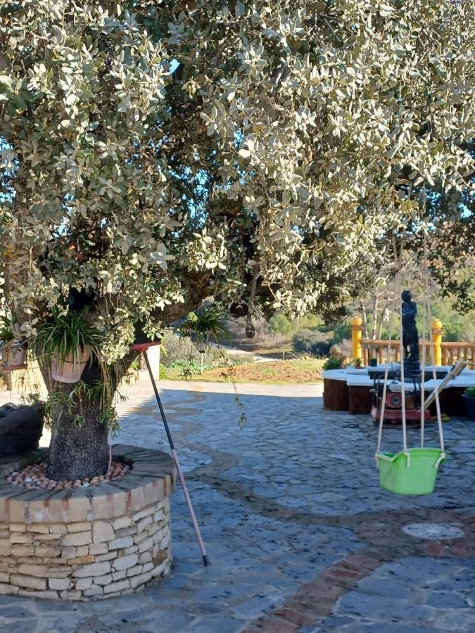 Villa Martinez Alquiler Rural Isabel Alcalá del Valle Kültér fotó